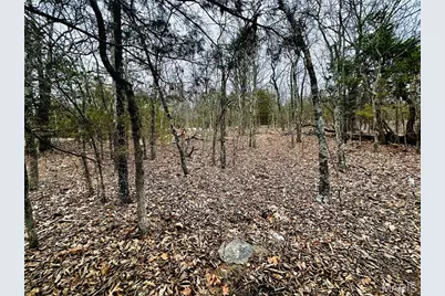 1920 Lake Forest Drive, Park Hills, MO 63601 - Photo 3