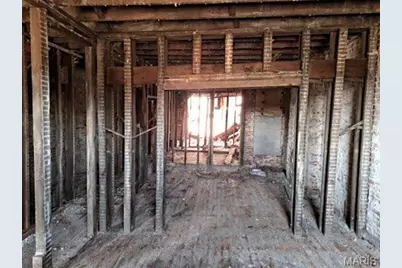 1131 Walton Avenue, Saint Louis, MO 63113 - Photo 3