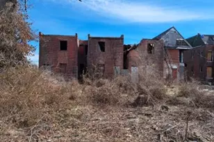 1131 Walton Ave, Saint Louis, MO 63113 - Photo 9