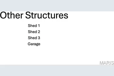 2902 Clay Street, De Soto, MO 63020 - Photo 55