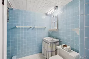 28 Grantwood Ln, Saint Louis, MO 63123 - Photo 67