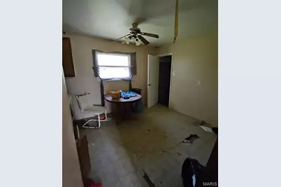 10117 Royal Drive, Saint Louis, MO 63136 - Photo 3