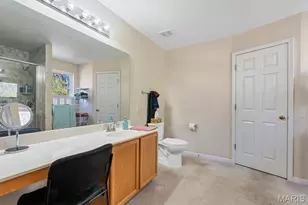 433 Summit Tree Ct, Fenton, MO 63026 - Photo 13