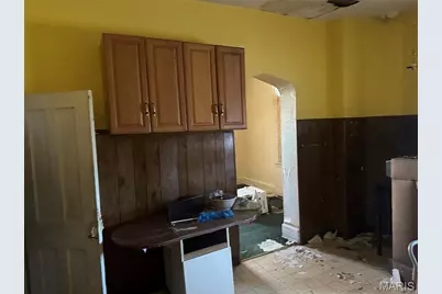 313 Fillmore Street, Saint Louis, MO 63111 - Photo 5