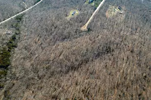 15799 County Rd 7200, Rolla, MO 65401 - Photo 63