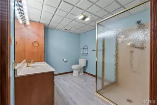 283 S Lake Dr, Cape Girardeau, MO 63701 - Photo 57