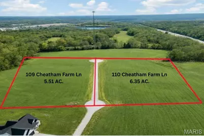 110 Cheatham Farm Lane, Troy, MO 63379 - Photo 3