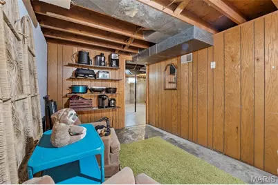 1052 Dorothy Street, Cape Girardeau, MO 63701 - Photo 17