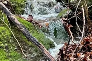 21805 Revere Ln, Waynesville, MO 65583 - Photo 5