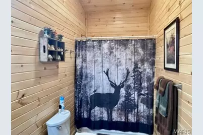 21805 Revere Lane, Waynesville, MO 65583 - Photo 43