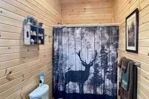 21805 Revere Ln, Waynesville, MO 65583 - Photo 43