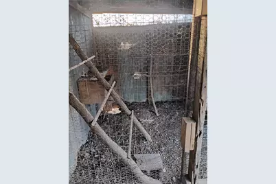 12315 Stave Mill Road, Cabool, MO 65689 - Photo 11