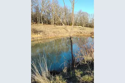 12315 Stave Mill Road, Cabool, MO 65689 - Photo 5