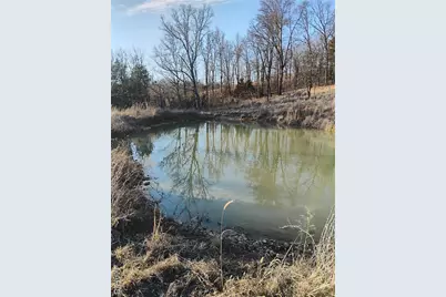 12315 Stave Mill Road, Cabool, MO 65689 - Photo 3