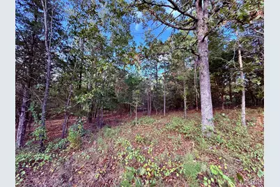 15306 Bucyrus Drive Drive, Bucyrus, MO 65444 - Photo 43