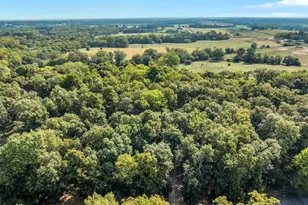 2932 Eagle Pointe Dr, Wentzville, MO 63385 - Photo 71