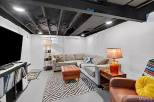 3161 Ohio Ave, Saint Louis, MO 63118 - Photo 13