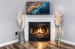 829 Eagle Dr, Jackson, MO 63755 - Photo 21