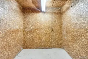 4527 Seibert Ave, Saint Louis, MO 63123 - Photo 17