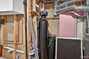 118 Arabian Path, Saint Peters, MO 63376 - Photo 57