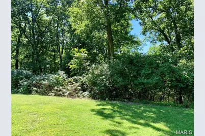 Lot 1 Dogwood Acres, Imperial, MO 63052 - Photo 3