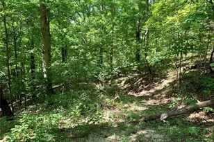 Lot 1 Dogwood Acres, Imperial, MO 63052 - Photo 1