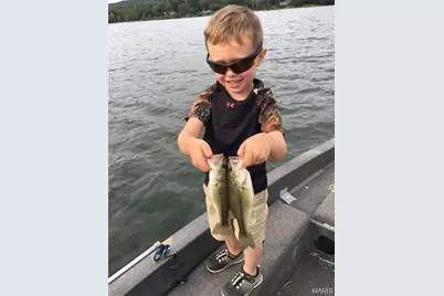 8631 W Shore Drive, Hillsboro, MO 63050 - Photo 35