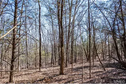 12821 Lone Oak Lane, De Soto, MO 63020 - Photo 45