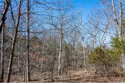 12821 Lone Oak Lane, De Soto, MO 63020 - Photo 75