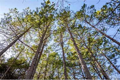 12821 Lone Oak Lane, De Soto, MO 63020 - Photo 51