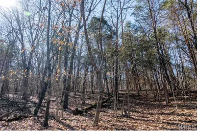 12821 Lone Oak Lane, De Soto, MO 63020 - Photo 83