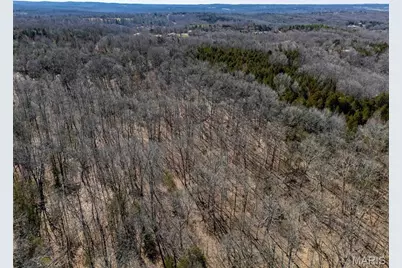 12821 Lone Oak Lane, De Soto, MO 63020 - Photo 85