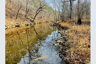 000 Airport Road, Houston, MO 65483 - Photo 21