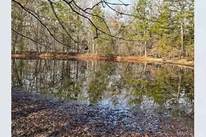 000 Airport Road, Houston, MO 65483 - Photo 3