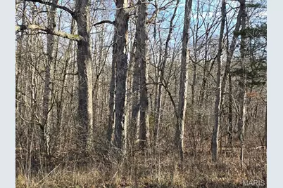 000 Airport Road, Houston, MO 65483 - Photo 9