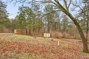 3076 Carron Rd, Festus, MO 63028 - Photo 7