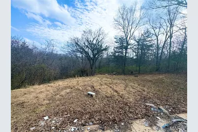 324 Sirius Road, De Soto, MO 63020 - Photo 5