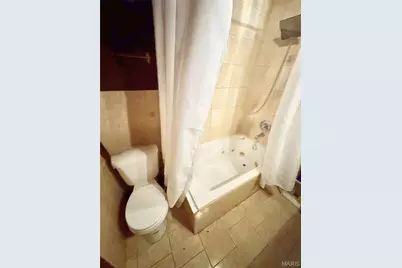 504 W Ripa Avenue, Saint Louis, MO 63125 - Photo 11