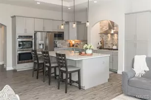 123 Royal Inverness Pkwy, O'Fallon, MO 63368 - Photo 19