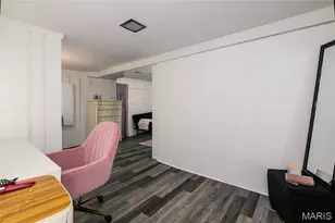 6633 Tholozan Ave, Saint Louis, MO 63109 - Photo 23