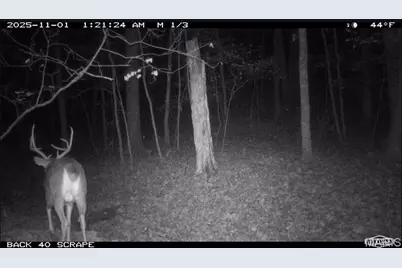 67 +/- Ac Circle Acres Drive, Marthasville, MO 63357 - Photo 29