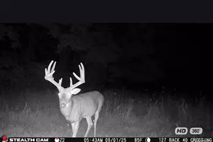 67 +/- Ac Circle Acres Dr, Marthasville, MO 63357 - Photo 1