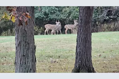 3530 Swaying Oaks Lane, O'Fallon, MO 63385 - Photo 25