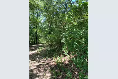 Lot 3 Dogwood Acres, Imperial, MO 63052 - Photo 3