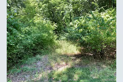 Lot 3 Dogwood Acres, Imperial, MO 63052 - Photo 5