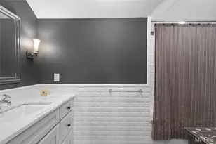 441 Park Rd, Webster Groves, MO 63119 - Photo 63