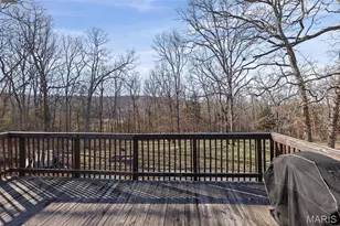 14049 Trails End Dr, De Soto, MO 63020 - Photo 11