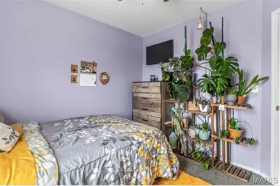 13723 Willow Wind Drive, De Soto, MO 63020 - Photo 25