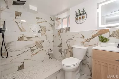 5729 Finkman Street, Saint Louis, MO 63109 - Photo 29