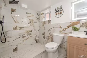 5729 Finkman St, Saint Louis, MO 63109 - Photo 29